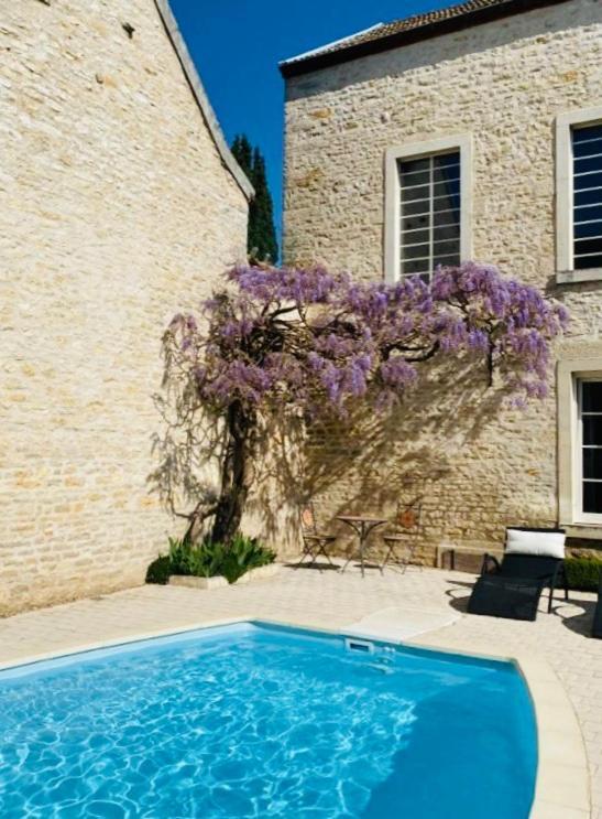 "Le Jardin" Chambre De Charme, Piscine A Meursault Zewnętrze zdjęcie